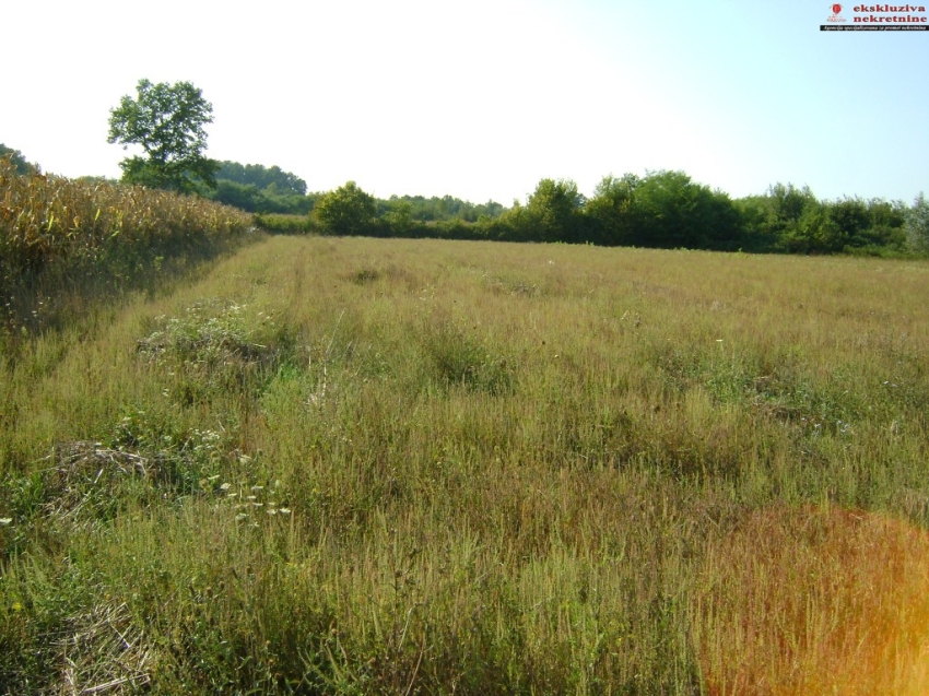 Zemljište površine 16170m2 Grbavica